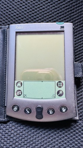 Original vintage retro palm - vintage, v